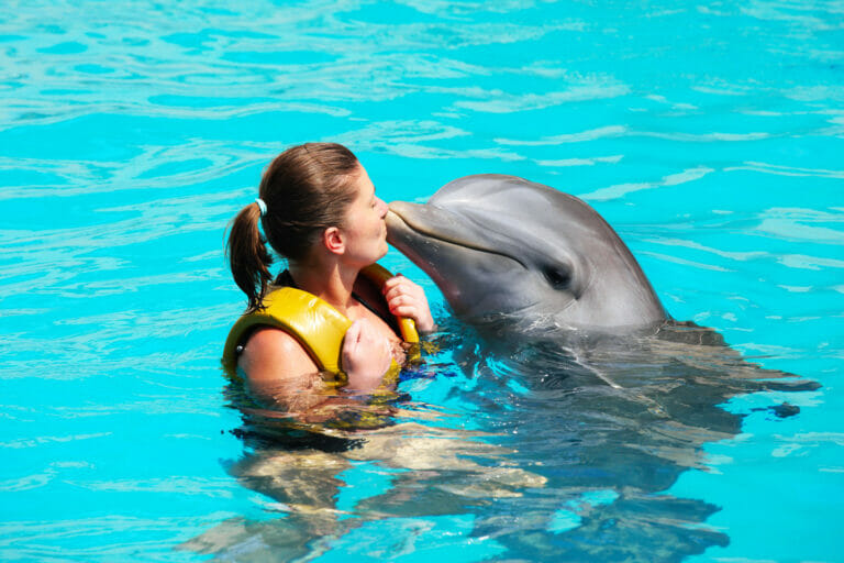 woman kissing a dophin one of the reasons why Why You Shouldn't Swim with Dolphins in Cancun