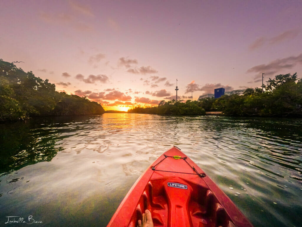 Kayaking at sunset in the Nichupte' Lagoon in front of Playa Langosta
