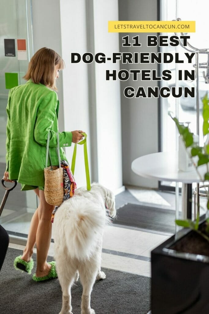 Pinterest image saying "Dog-friendly hotels in Cancun".