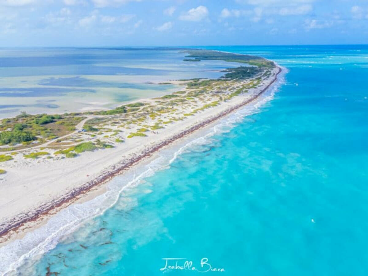 Aerial view of Isla Blanca.