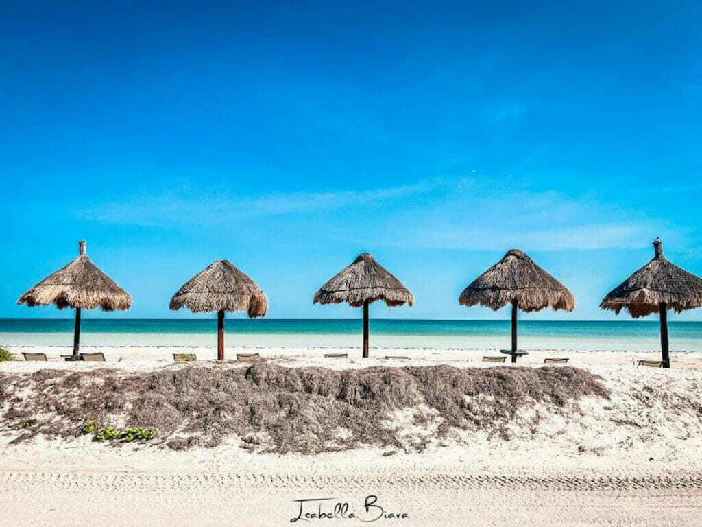 Beach club in Holbox.