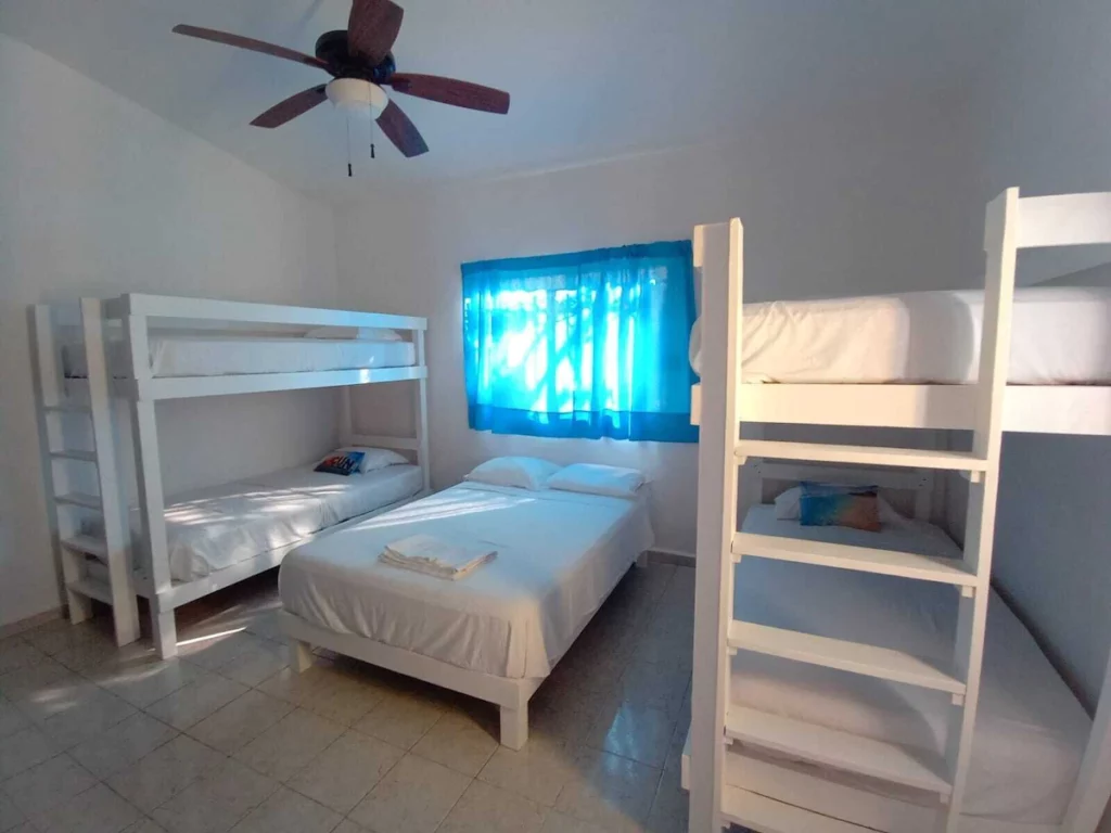 Bunk beds in a standard room in Las Palmas Hostal.