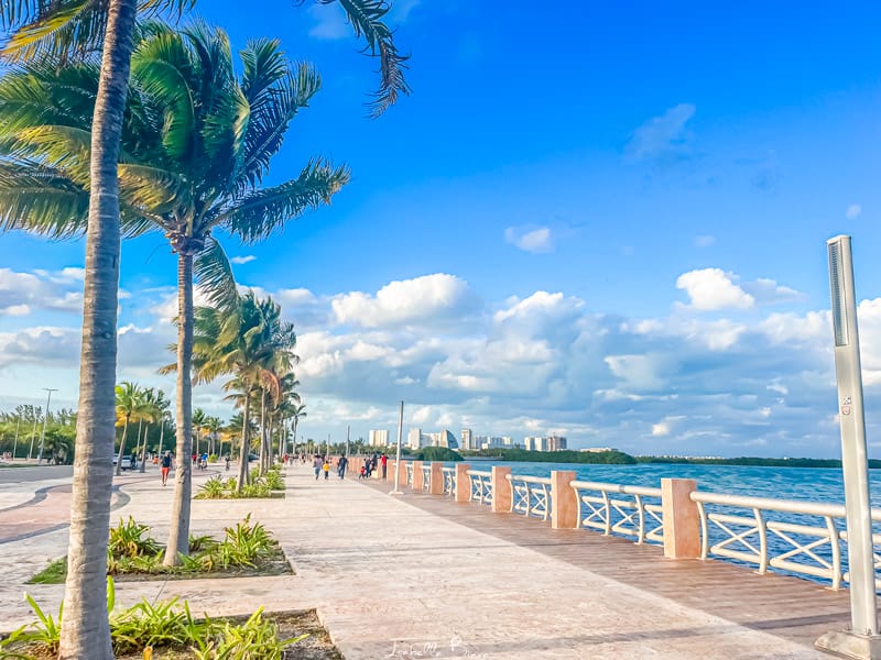 Tajamar Malecon palms and nichupte lagoon