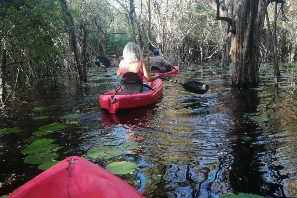 person kayaking in a lagoon