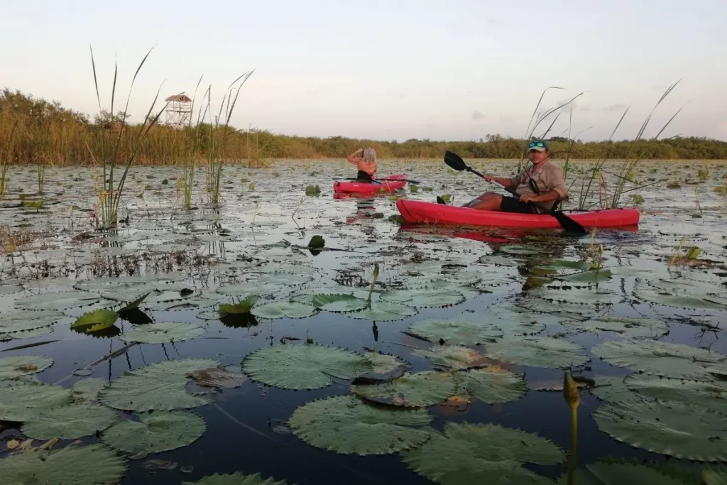 Kayak tour at the UMA El cuyo