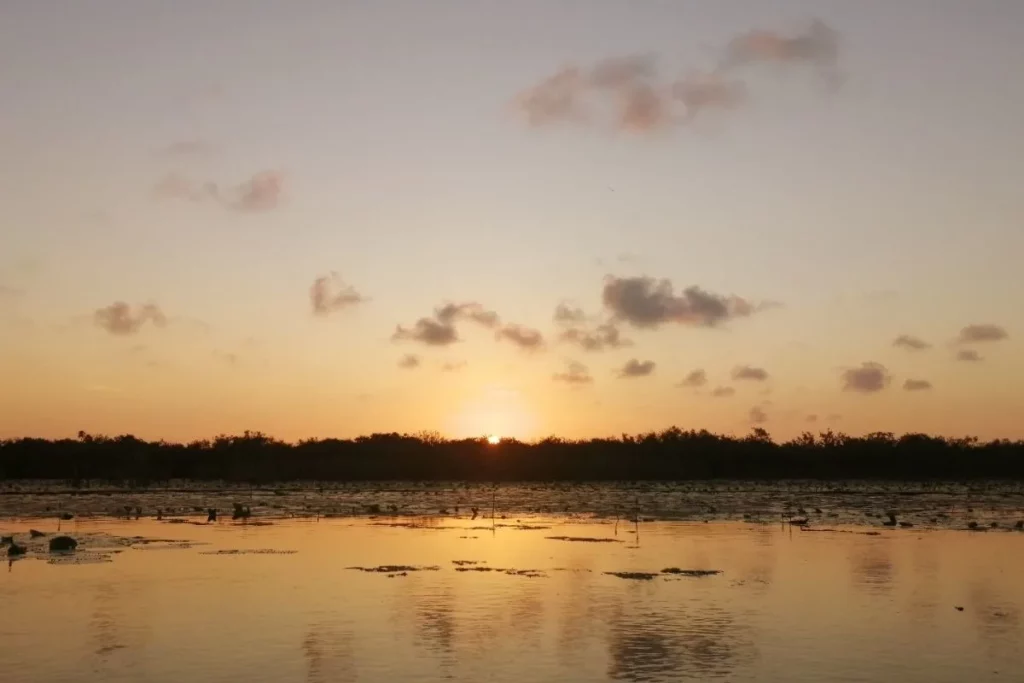 kayak tour at sunset