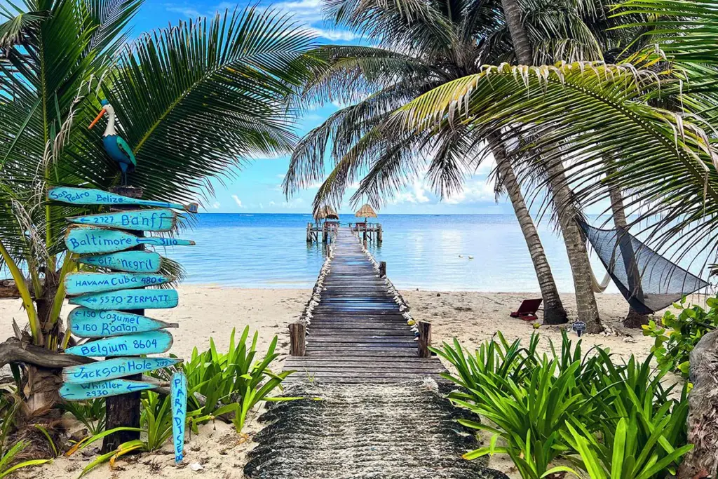 Tropical beach with pier and palm trees